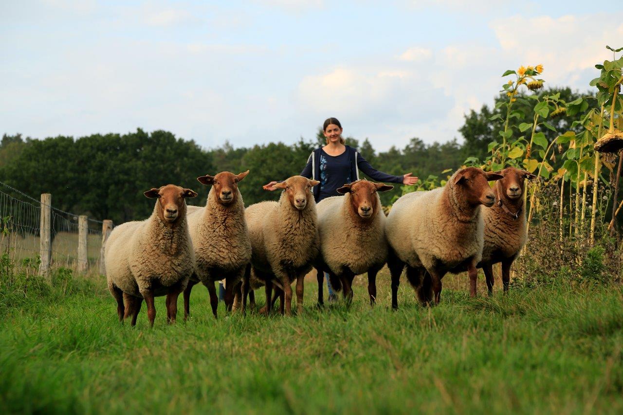 Die Arche Region Flusslandschaft Elbe Biosph renreservat