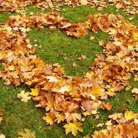 Einfallsreiche Herbstwerkstatt - Landart aus Herbstblättern