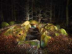 Steingrab im Schieringer Forst