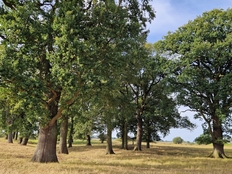 Wanderung zu den Elbdurchstichen