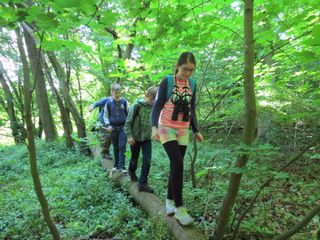 Junior-Ranger im Wald