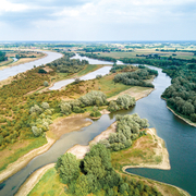 Das Naturschutzgebiet Duursche Waarden an der IJssel, eines der Exkursionsziele